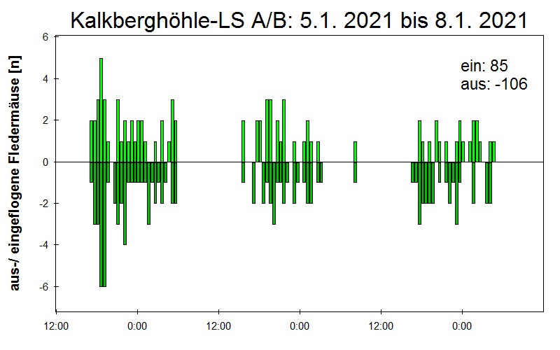 [Fledermaus] Lichtschranke: Segeberger Kalkberg (NABU Schleswig-Holstein)