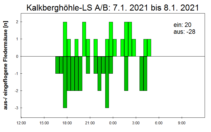 [Fledermaus] Lichtschranke: Segeberger Kalkberg (NABU Schleswig-Holstein)