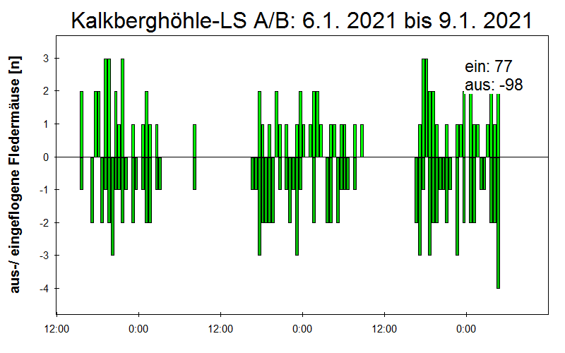 [Fledermaus] Lichtschranke: Segeberger Kalkberg (NABU Schleswig-Holstein)