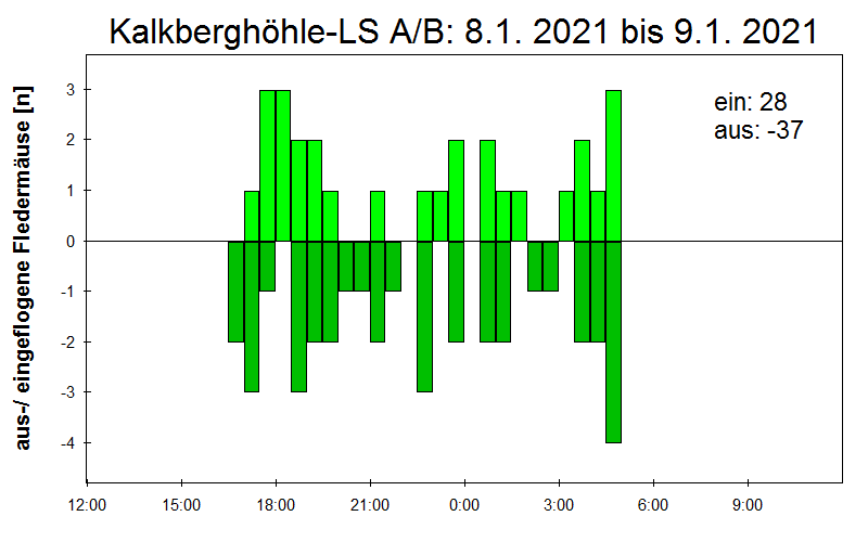 [Fledermaus] Lichtschranke: Segeberger Kalkberg (NABU Schleswig-Holstein)
