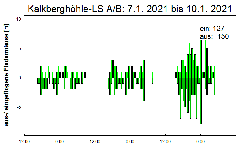 [Fledermaus] Lichtschranke: Segeberger Kalkberg (NABU Schleswig-Holstein)