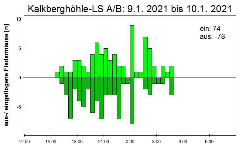 [Fledermaus] Lichtschranke: Segeberger Kalkberg (NABU Schleswig-Holstein)