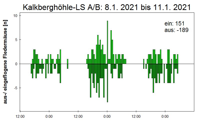 [Fledermaus] Lichtschranke: Segeberger Kalkberg (NABU Schleswig-Holstein)