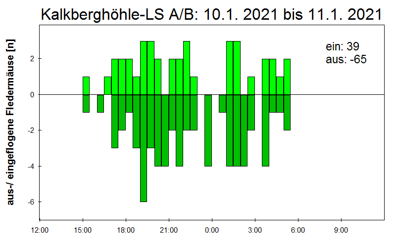 [Fledermaus] Lichtschranke: Segeberger Kalkberg (NABU Schleswig-Holstein)