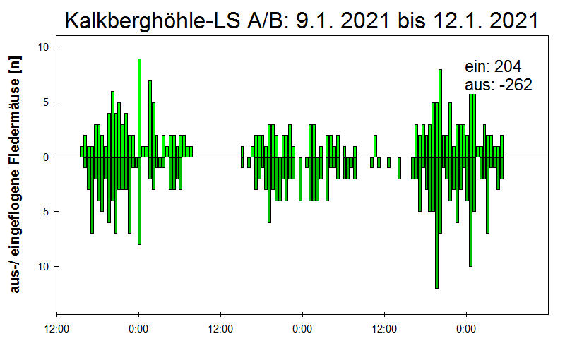 [Fledermaus] Lichtschranke: Segeberger Kalkberg (NABU Schleswig-Holstein)