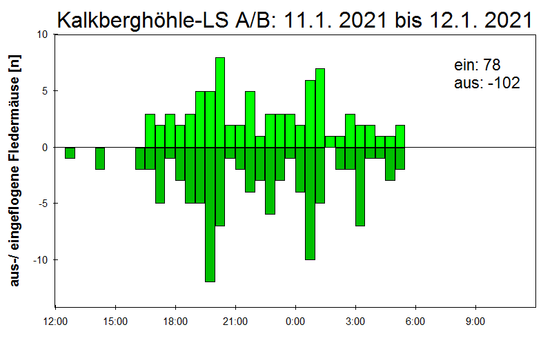 [Fledermaus] Lichtschranke: Segeberger Kalkberg (NABU Schleswig-Holstein)