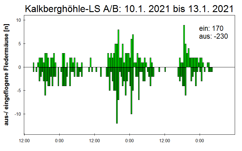 [Fledermaus] Lichtschranke: Segeberger Kalkberg (NABU Schleswig-Holstein)