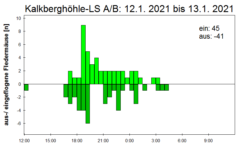[Fledermaus] Lichtschranke: Segeberger Kalkberg (NABU Schleswig-Holstein)