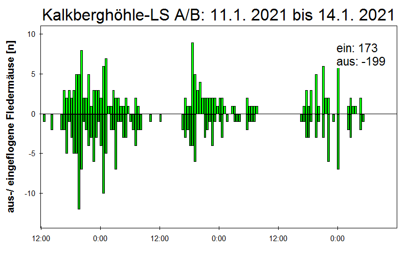 [Fledermaus] Lichtschranke: Segeberger Kalkberg (NABU Schleswig-Holstein)