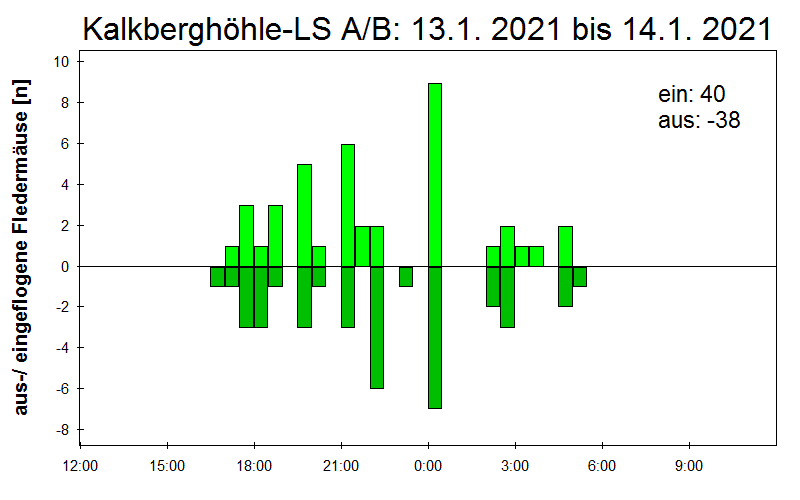 [Fledermaus] Lichtschranke: Segeberger Kalkberg (NABU Schleswig-Holstein)