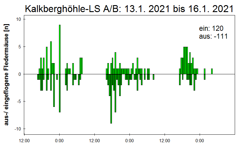 [Fledermaus] Lichtschranke: Segeberger Kalkberg (NABU Schleswig-Holstein)