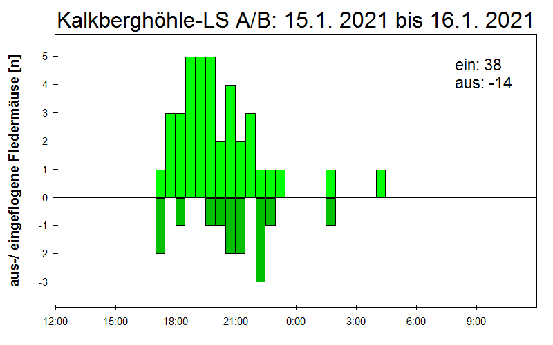 [Fledermaus] Lichtschranke: Segeberger Kalkberg (NABU Schleswig-Holstein)