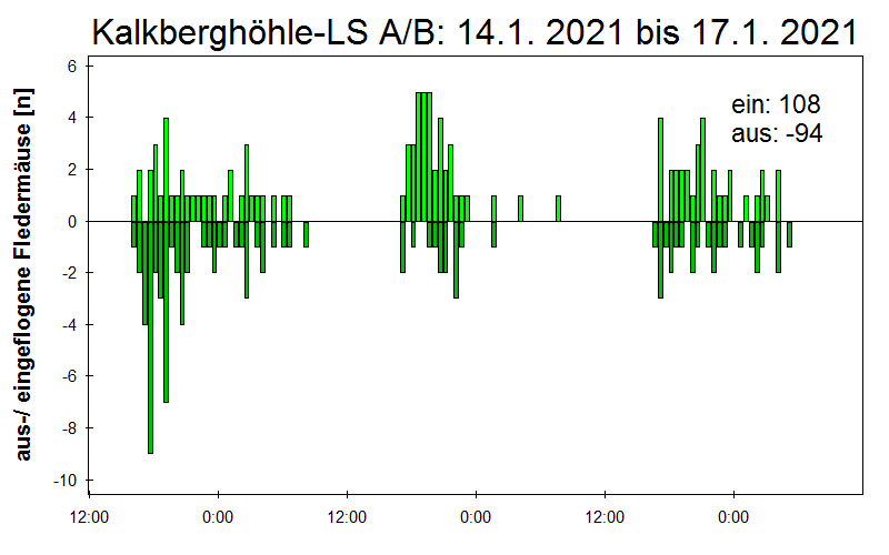 [Fledermaus] Lichtschranke: Segeberger Kalkberg (NABU Schleswig-Holstein)