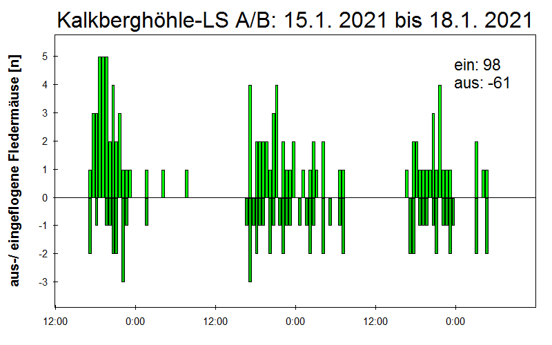 [Fledermaus] Lichtschranke: Segeberger Kalkberg (NABU Schleswig-Holstein)