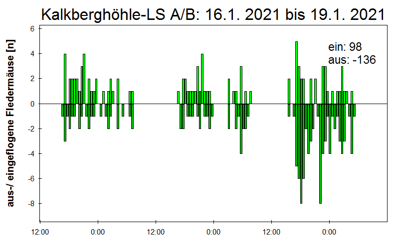 [Fledermaus] Lichtschranke: Segeberger Kalkberg (NABU Schleswig-Holstein)
