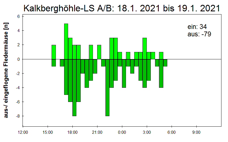 [Fledermaus] Lichtschranke: Segeberger Kalkberg (NABU Schleswig-Holstein)