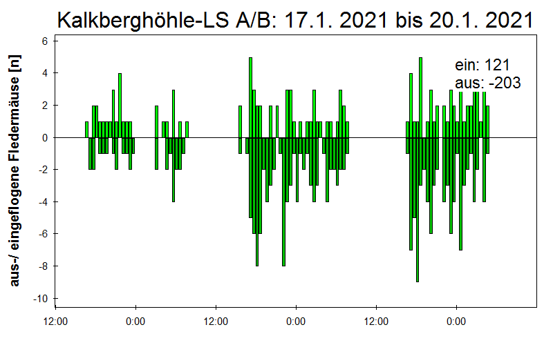 [Fledermaus] Lichtschranke: Segeberger Kalkberg (NABU Schleswig-Holstein)