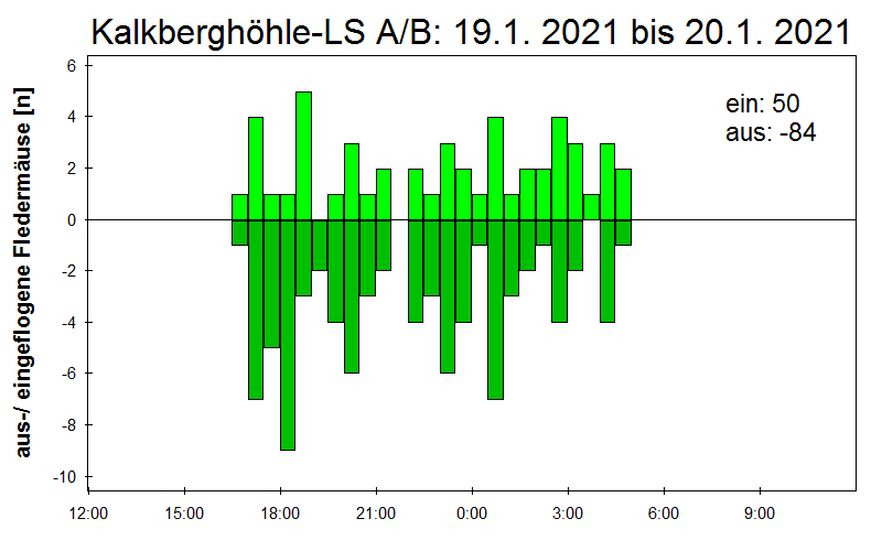 [Fledermaus] Lichtschranke: Segeberger Kalkberg (NABU Schleswig-Holstein)