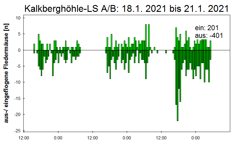 [Fledermaus] Lichtschranke: Segeberger Kalkberg (NABU Schleswig-Holstein)