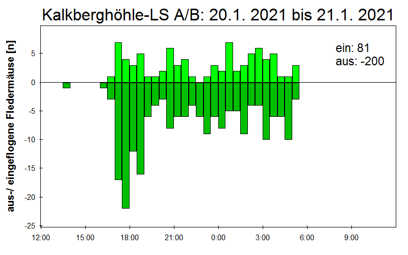[Fledermaus] Lichtschranke: Segeberger Kalkberg (NABU Schleswig-Holstein)