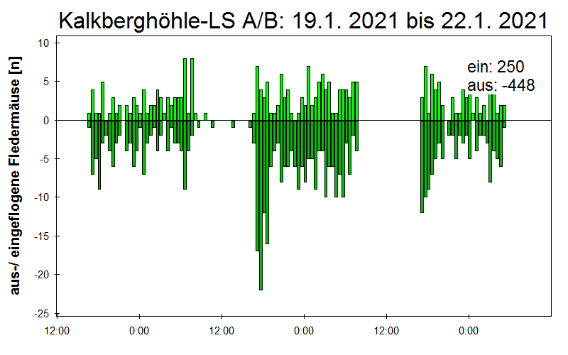 [Fledermaus] Lichtschranke: Segeberger Kalkberg (NABU Schleswig-Holstein)