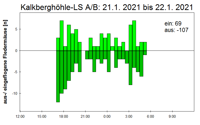 [Fledermaus] Lichtschranke: Segeberger Kalkberg (NABU Schleswig-Holstein)