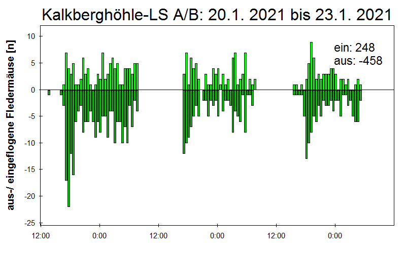 [Fledermaus] Lichtschranke: Segeberger Kalkberg (NABU Schleswig-Holstein)