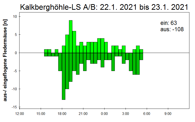 [Fledermaus] Lichtschranke: Segeberger Kalkberg (NABU Schleswig-Holstein)