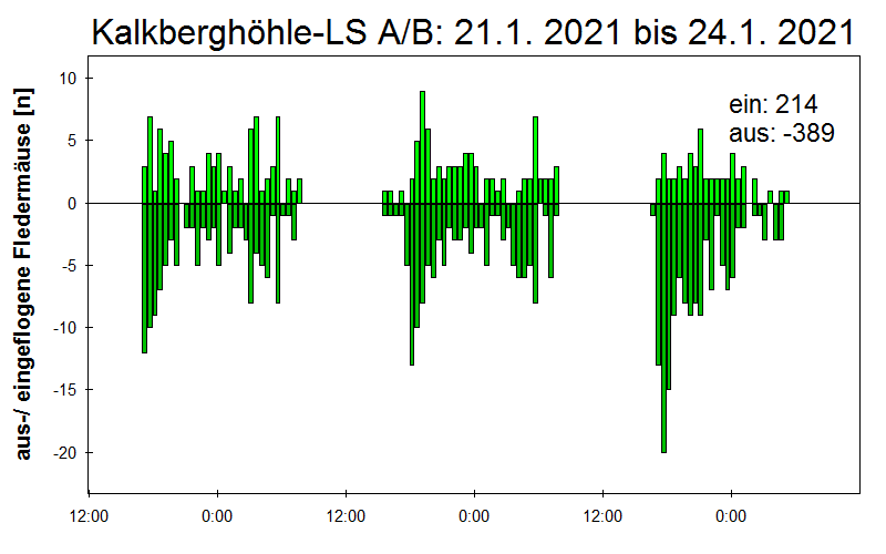 [Fledermaus] Lichtschranke: Segeberger Kalkberg (NABU Schleswig-Holstein)