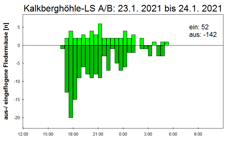 [Fledermaus] Lichtschranke: Segeberger Kalkberg (NABU Schleswig-Holstein)