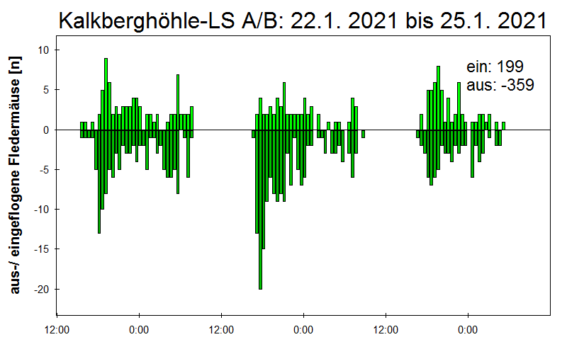[Fledermaus] Lichtschranke: Segeberger Kalkberg (NABU Schleswig-Holstein)