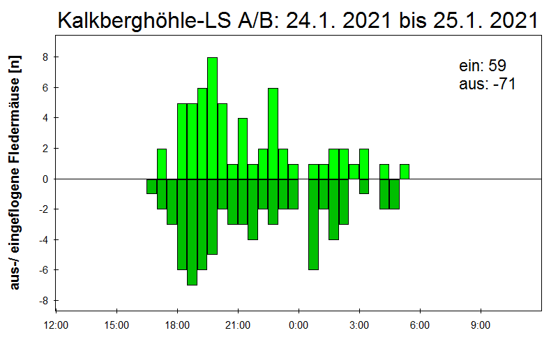 [Fledermaus] Lichtschranke: Segeberger Kalkberg (NABU Schleswig-Holstein)