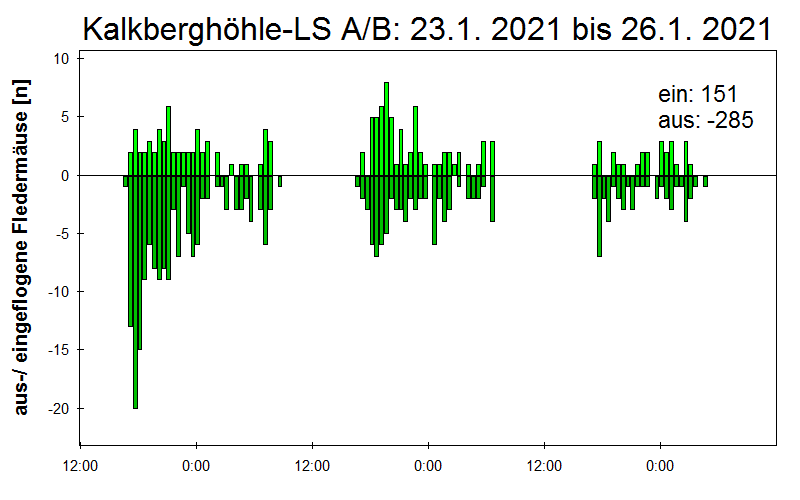 [Fledermaus] Lichtschranke: Segeberger Kalkberg (NABU Schleswig-Holstein)