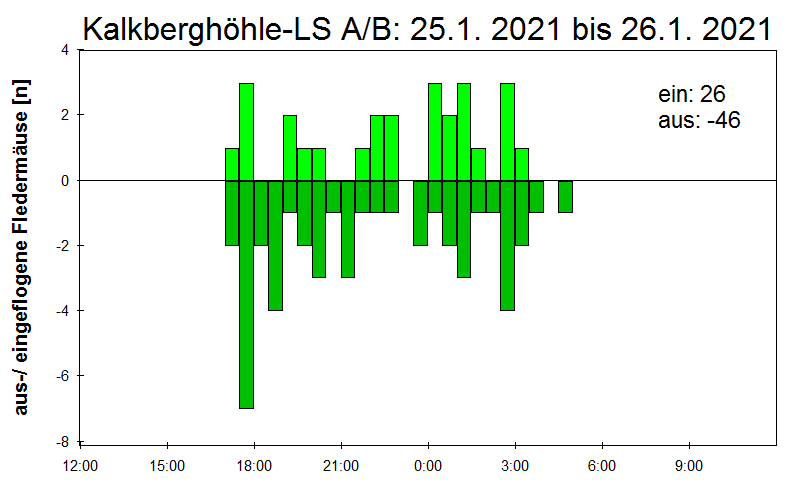 [Fledermaus] Lichtschranke: Segeberger Kalkberg (NABU Schleswig-Holstein)