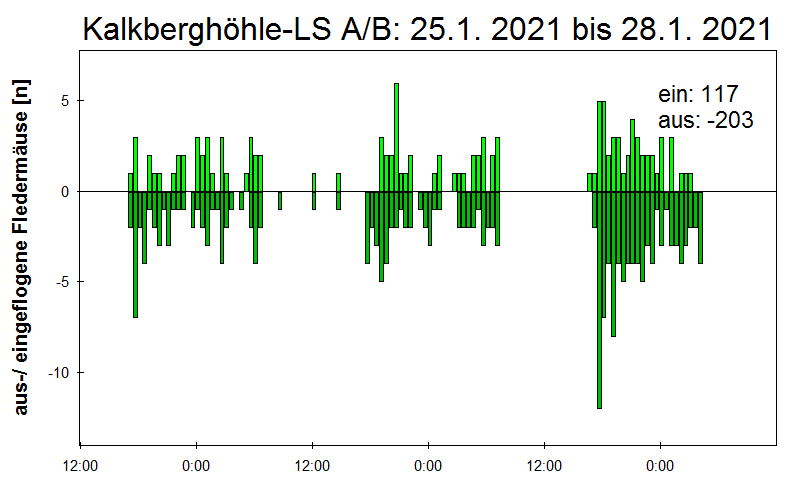 [Fledermaus] Lichtschranke: Segeberger Kalkberg (NABU Schleswig-Holstein)