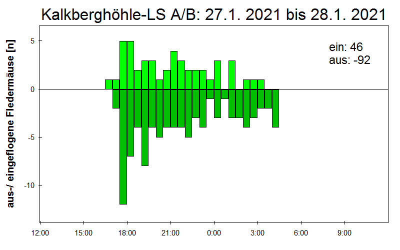 [Fledermaus] Lichtschranke: Segeberger Kalkberg (NABU Schleswig-Holstein)