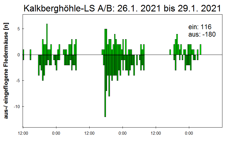 [Fledermaus] Lichtschranke: Segeberger Kalkberg (NABU Schleswig-Holstein)