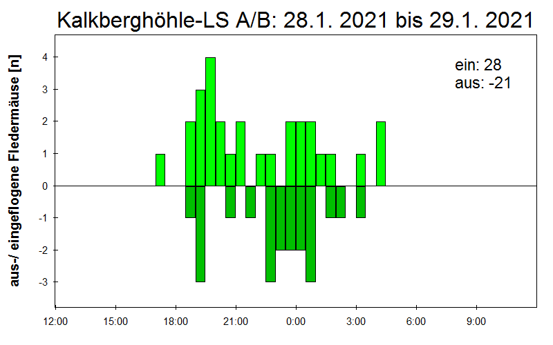 [Fledermaus] Lichtschranke: Segeberger Kalkberg (NABU Schleswig-Holstein)
