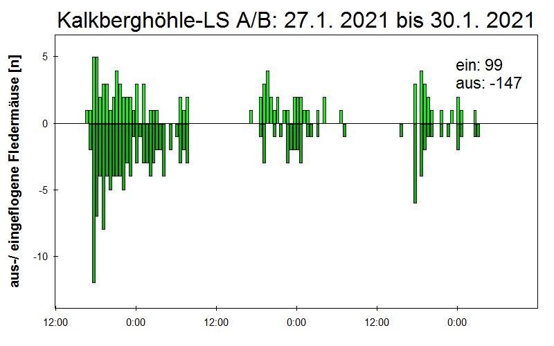 [Fledermaus] Lichtschranke: Segeberger Kalkberg (NABU Schleswig-Holstein)