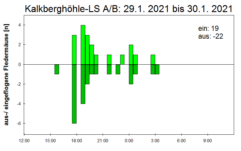 [Fledermaus] Lichtschranke: Segeberger Kalkberg (NABU Schleswig-Holstein)