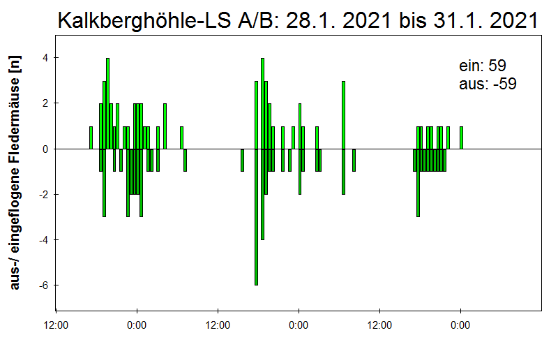 [Fledermaus] Lichtschranke: Segeberger Kalkberg (NABU Schleswig-Holstein)