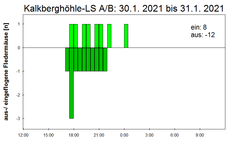 [Fledermaus] Lichtschranke: Segeberger Kalkberg (NABU Schleswig-Holstein)