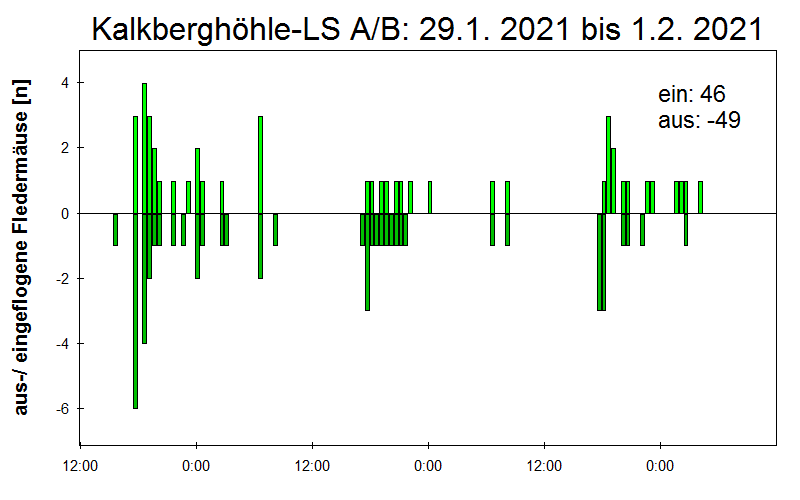 [Fledermaus] Lichtschranke: Segeberger Kalkberg (NABU Schleswig-Holstein)