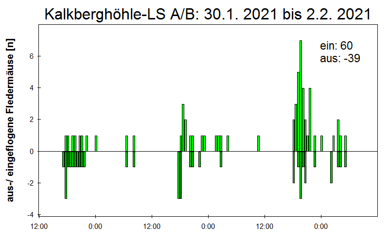 [Fledermaus] Lichtschranke: Segeberger Kalkberg (NABU Schleswig-Holstein)