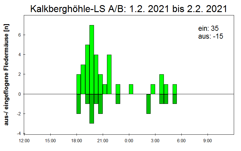 [Fledermaus] Lichtschranke: Segeberger Kalkberg (NABU Schleswig-Holstein)