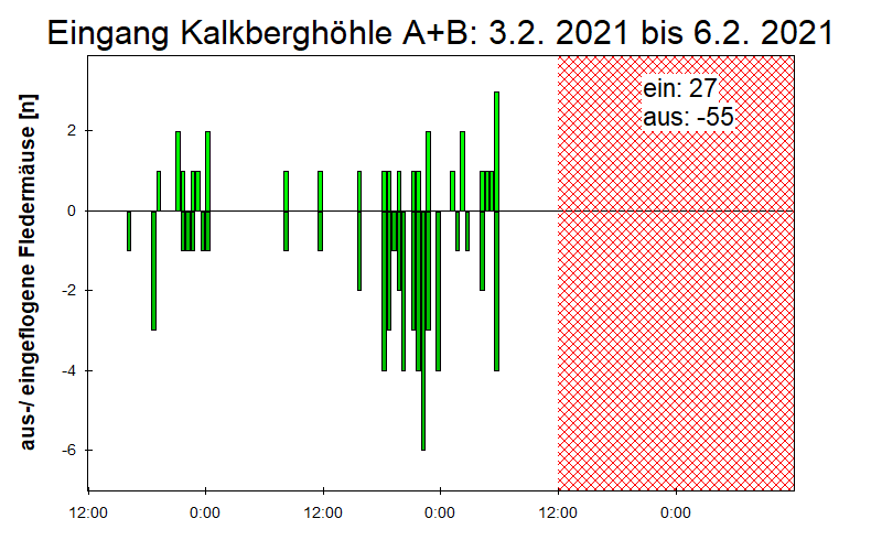 [Fledermaus] Lichtschranke: Segeberger Kalkberg (NABU Schleswig-Holstein)