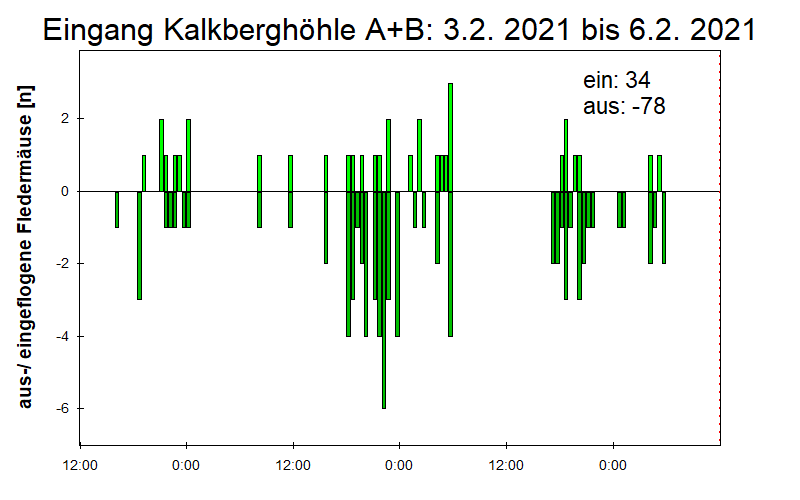 [Fledermaus] Lichtschranke: Segeberger Kalkberg (NABU Schleswig-Holstein)