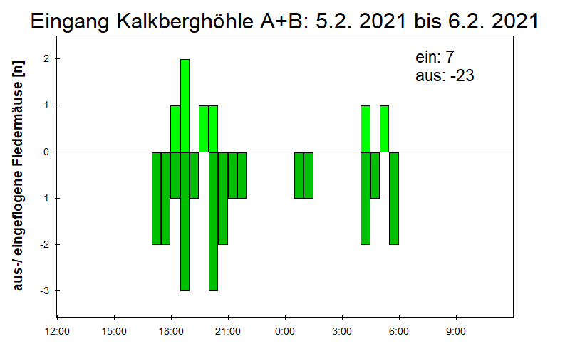 [Fledermaus] Lichtschranke: Segeberger Kalkberg (NABU Schleswig-Holstein)