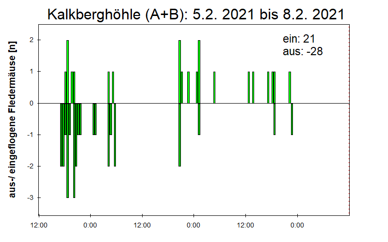 [Fledermaus] Lichtschranke: Segeberger Kalkberg (NABU Schleswig-Holstein)