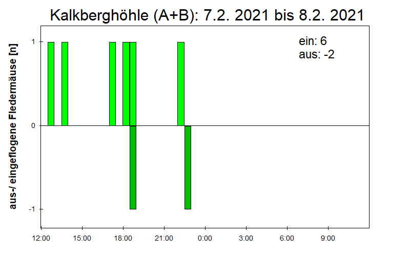[Fledermaus] Lichtschranke: Segeberger Kalkberg (NABU Schleswig-Holstein)